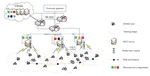 Mobility-aware Cost-utility Optimization for Microservices in Multi-cell Mobile Edge Computing